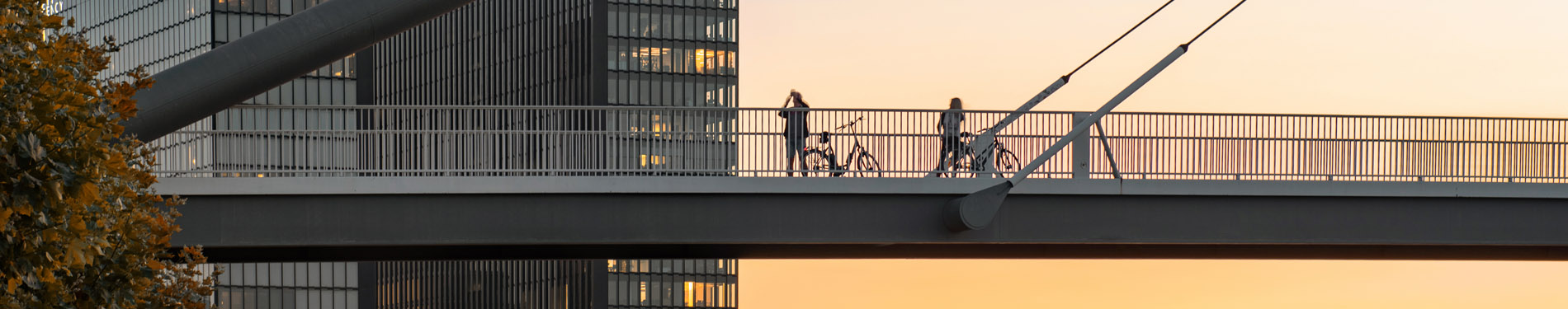 team auf einer bruecke